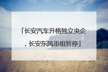 长安汽车升格独立央企，长安东风重组暂停