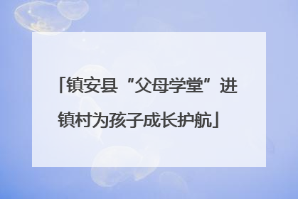 镇安县“父母学堂”进镇村为孩子成长护航