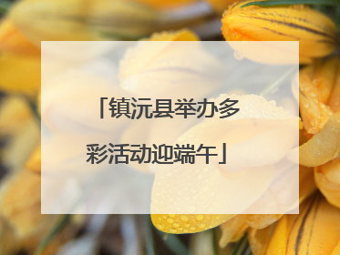 镇沅县举办多彩活动迎端午