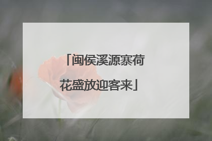 闽侯溪源寨荷花盛放迎客来