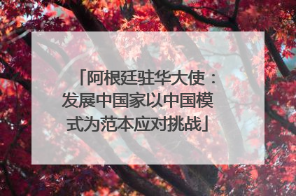 阿根廷驻华大使：发展中国家以中国模式为范本应对挑战