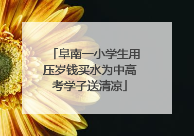 阜南一小学生用压岁钱买水为中高考学子送清凉