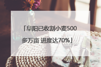 阜阳已收割小麦500多万亩 进度达70%
