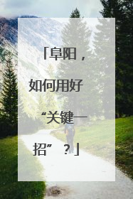 阜阳，如何用好“关键一招”？