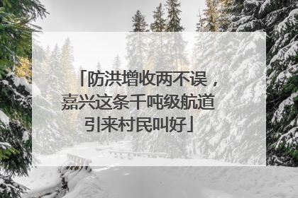 防洪增收两不误，嘉兴这条千吨级航道引来村民叫好