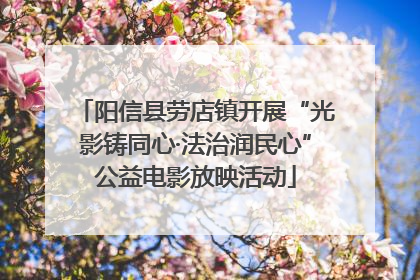 阳信县劳店镇开展“光影铸同心·法治润民心”公益电影放映活动
