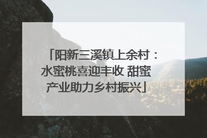 阳新三溪镇上余村：水蜜桃喜迎丰收 甜蜜产业助力乡村振兴
