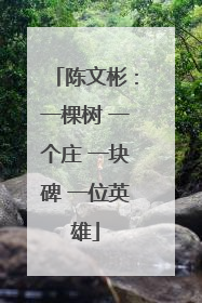 陈文彬：一棵树 一个庄 一块碑 一位英雄