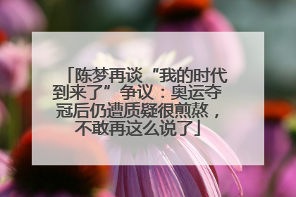 陈梦再谈“我的时代到来了”争议：奥运夺冠后仍遭质疑很煎熬，不敢再这么说了