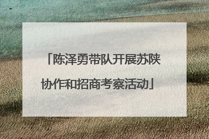 陈泽勇带队开展苏陕协作和招商考察活动