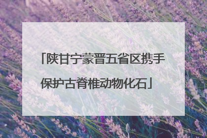 陕甘宁蒙晋五省区携手保护古脊椎动物化石
