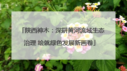 陕西神木：深耕黄河流域生态治理 绘就绿色发展新画卷