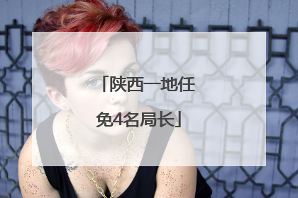 陕西一地任免4名局长