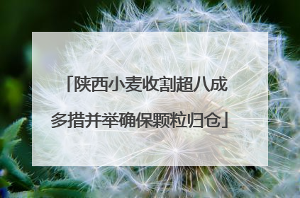 陕西小麦收割超八成 多措并举确保颗粒归仓