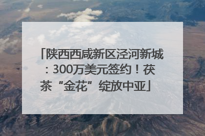 陕西西咸新区泾河新城：300万美元签约！茯茶“金花”绽放中亚