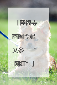 隆福寺商圈今起又多一“网红”