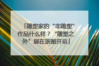 雕塑家的“非雕塑”作品什么样？“雕塑之外”展在浙图开幕