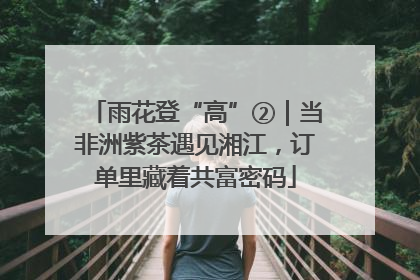 雨花登“高”②｜当非洲紫茶遇见湘江，订单里藏着共富密码