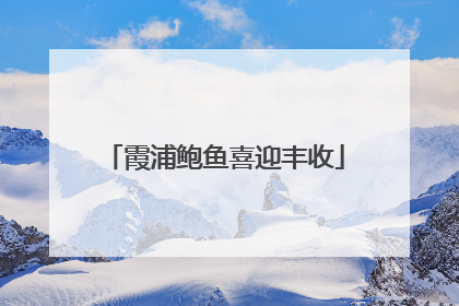 霞浦鲍鱼喜迎丰收