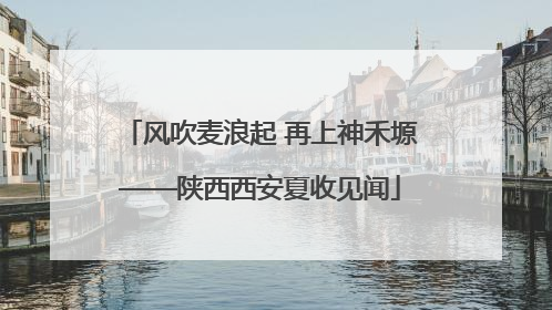 风吹麦浪起 再上神禾塬——陕西西安夏收见闻