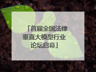 首届全国法律垂直大模型行业论坛启幕