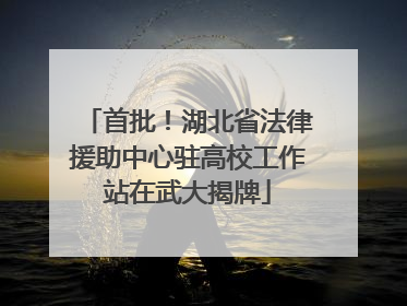 首批！湖北省法律援助中心驻高校工作站在武大揭牌