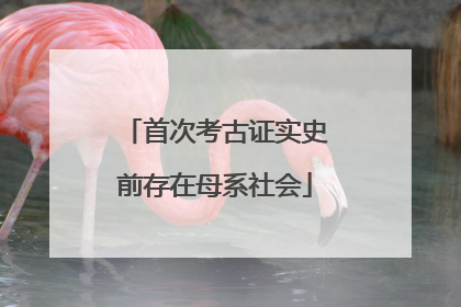 首次考古证实史前存在母系社会