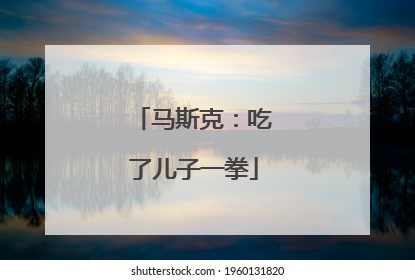 马斯克：吃了儿子一拳