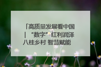 高质量发展看中国｜“数字”红利润泽八桂乡村 智慧赋能绘就振兴画卷