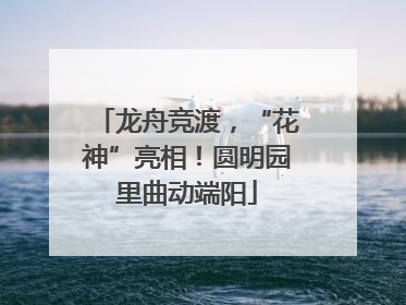 龙舟竞渡，“花神”亮相！圆明园里曲动端阳