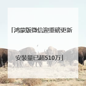 鸿蒙版微信迎重磅更新 安装量已超510万