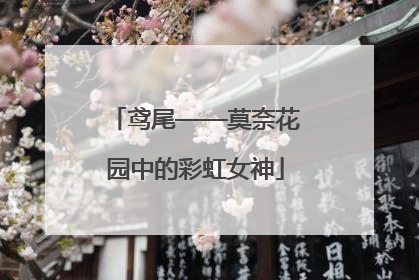 鸢尾——莫奈花园中的彩虹女神