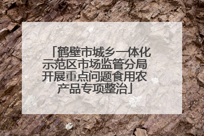 鹤壁市城乡一体化示范区市场监管分局开展重点问题食用农产品专项整治