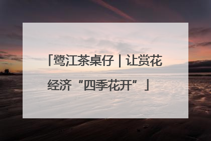 鹭江茶桌仔｜让赏花经济“四季花开”