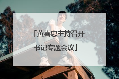 黄喜忠主持召开书记专题会议