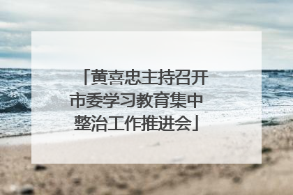 黄喜忠主持召开市委学习教育集中整治工作推进会