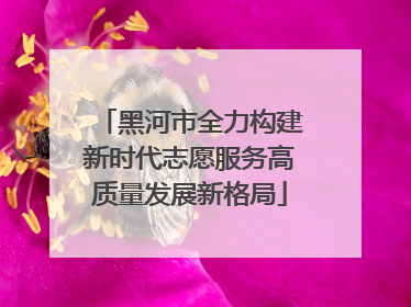 黑河市全力构建新时代志愿服务高质量发展新格局