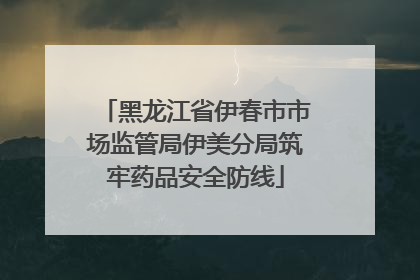 黑龙江省伊春市市场监管局伊美分局筑牢药品安全防线