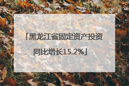 黑龙江省固定资产投资同比增长15.2%
