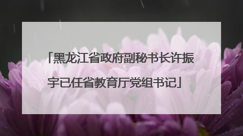 黑龙江省政府副秘书长许振宇已任省教育厅党组书记