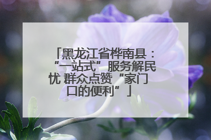 黑龙江省桦南县：“一站式”服务解民忧 群众点赞“家门口的便利”