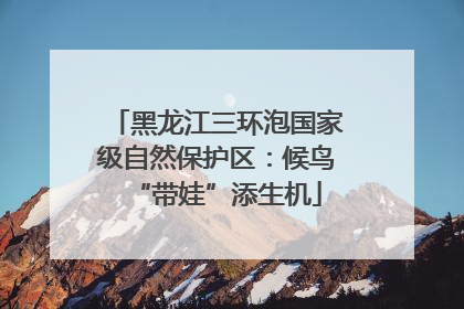 黑龙江三环泡国家级自然保护区：候鸟“带娃”添生机