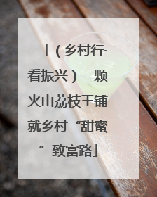 （乡村行·看振兴）一颗火山荔枝王铺就乡村“甜蜜”致富路