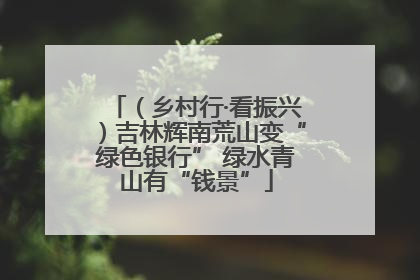（乡村行·看振兴）吉林辉南荒山变“绿色银行” 绿水青山有“钱景”