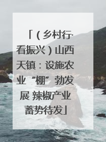 （乡村行·看振兴）山西天镇：设施农业“棚”勃发展 辣椒产业蓄势待发