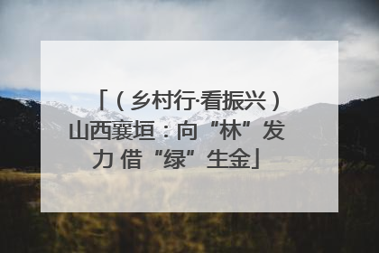 （乡村行·看振兴）山西襄垣：向“林”发力 借“绿”生金
