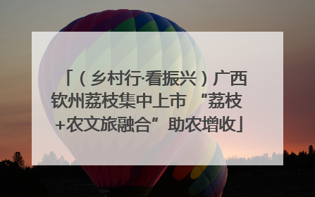 （乡村行·看振兴）广西钦州荔枝集中上市 “荔枝+农文旅融合”助农增收