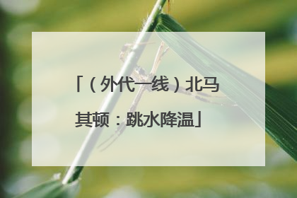 （外代一线）北马其顿：跳水降温