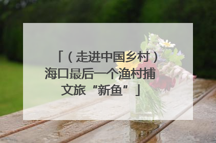（走进中国乡村）海口最后一个渔村捕文旅“新鱼”