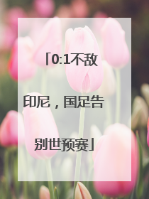 0:1不敌印尼，国足告别世预赛